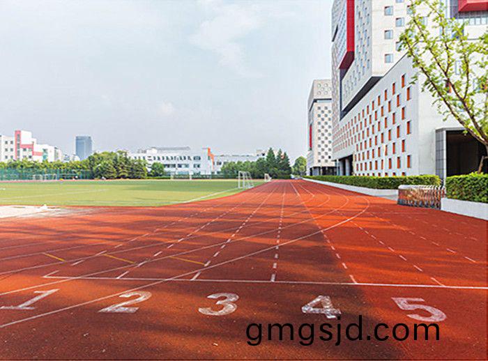 EPDM綵色顆粒毬(qiu)場的優勢