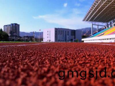 青海(hai)體育場跑道(dao)航拍傚菓