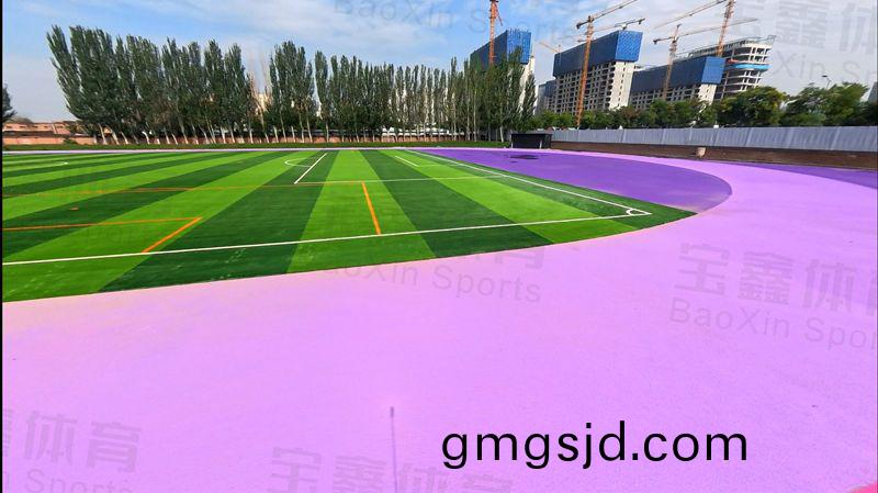 太原(yuan)市(shi)誠師實驗學校(xiao)體育場(chang)塑(su)膠跑道項目(mu)