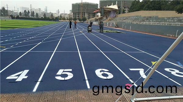跑道毬(qiu)場工程圖IMG_0870.JPG